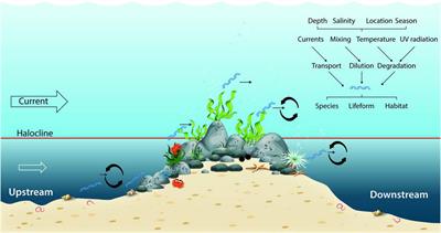 Environmental DNA Monitoring of Biodiversity Hotspots in Danish Marine Waters